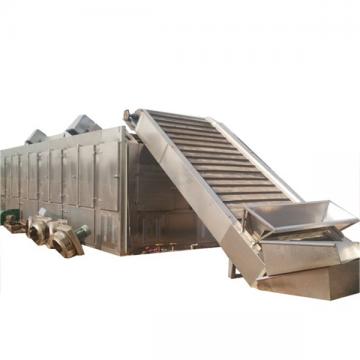 Industrial Food Drying Equipment Continuous Mesh Belt Seafood Air Dryer