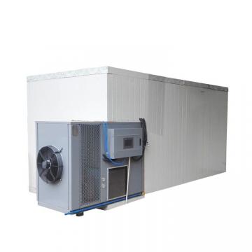 Nigeria Electric Freeze Catfish Shrimp Drying Machine Hemp Fish Dryer Squid Seafood Dehydrator Machine